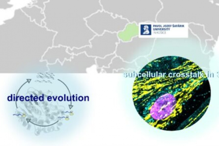 CIB members awarded with Fellowships for excellent researchers R2-R4