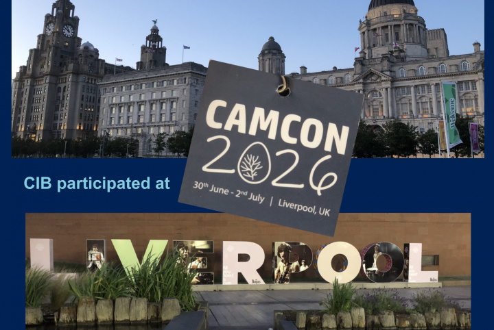 CIB researcher at the International CAM Conference in Liverpool