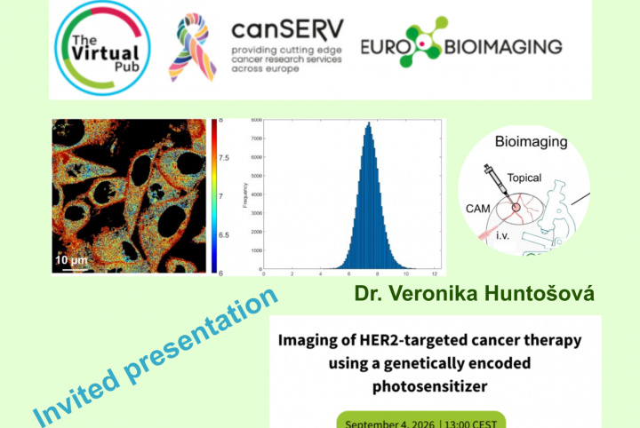 CIB researcher presented at the Euro-BioImaging Virtual Pub