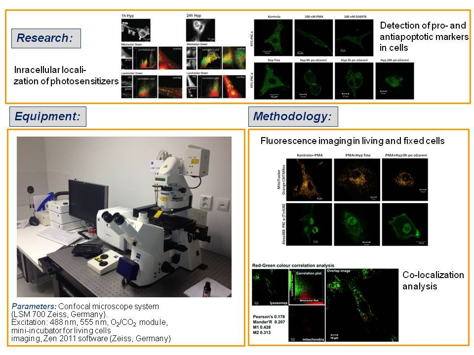 Laboratóriá / Laboratory of Confocal Microscopy - foto Laboratóriá / Laboratory of Confocal Microscopy - foto