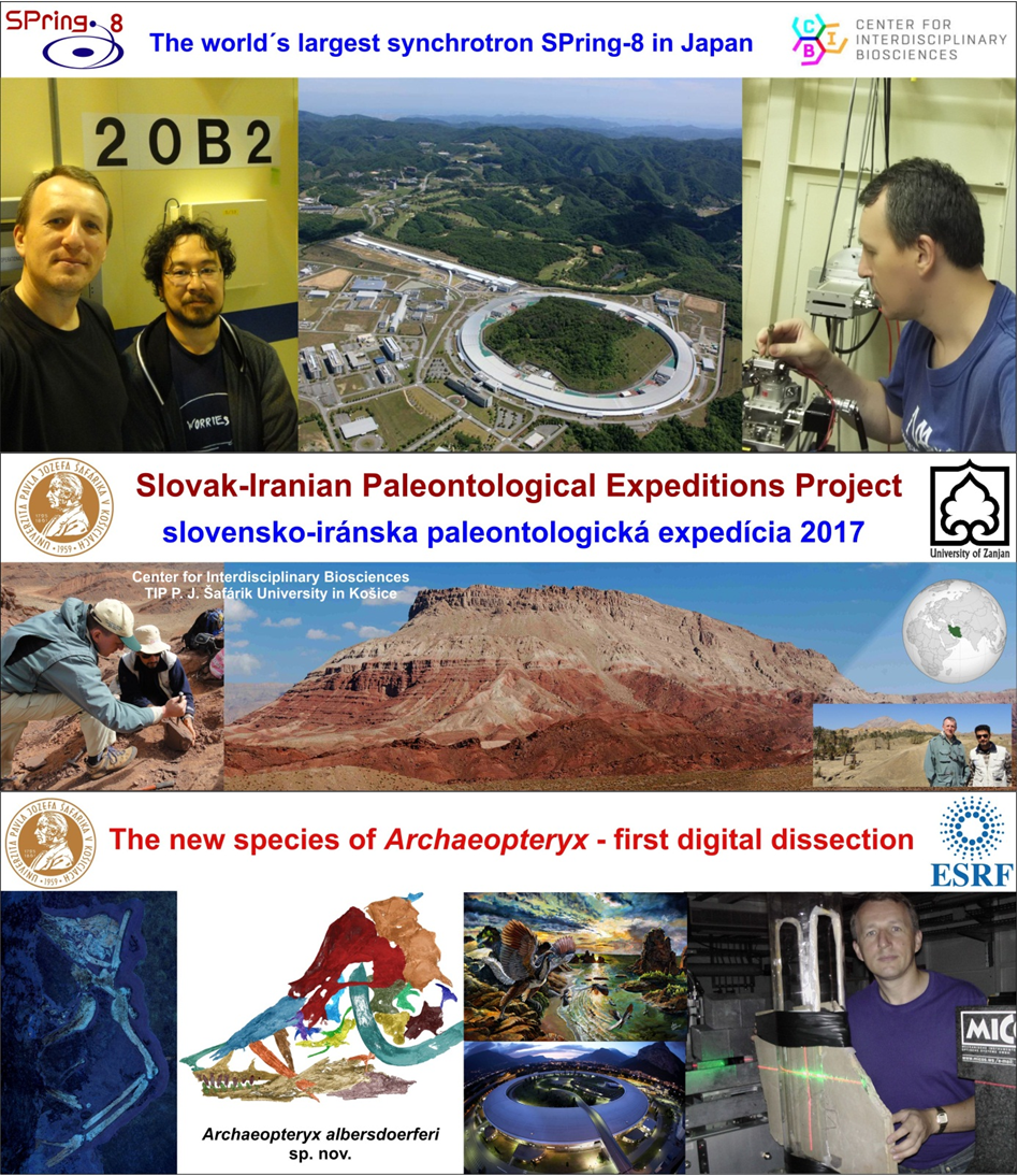 Laboratóriá / PaleoBioImaging – Synchrotron Paleontology - foto