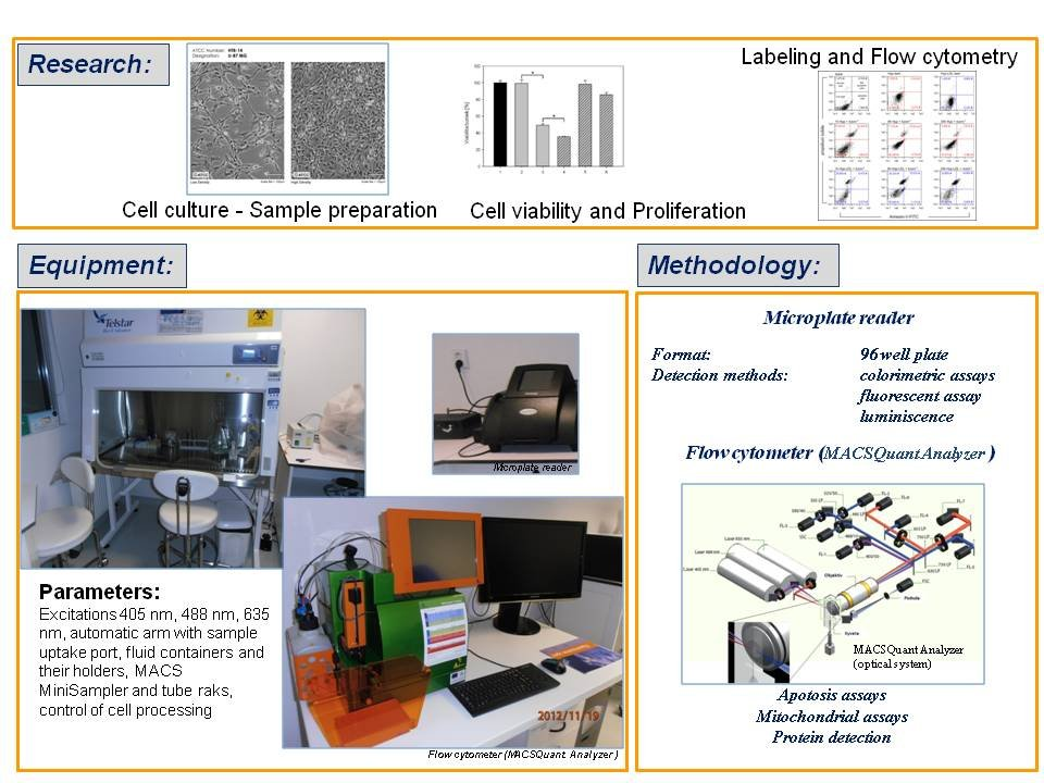 Laboratóriá / Laboratory of Cell Cultures - foto