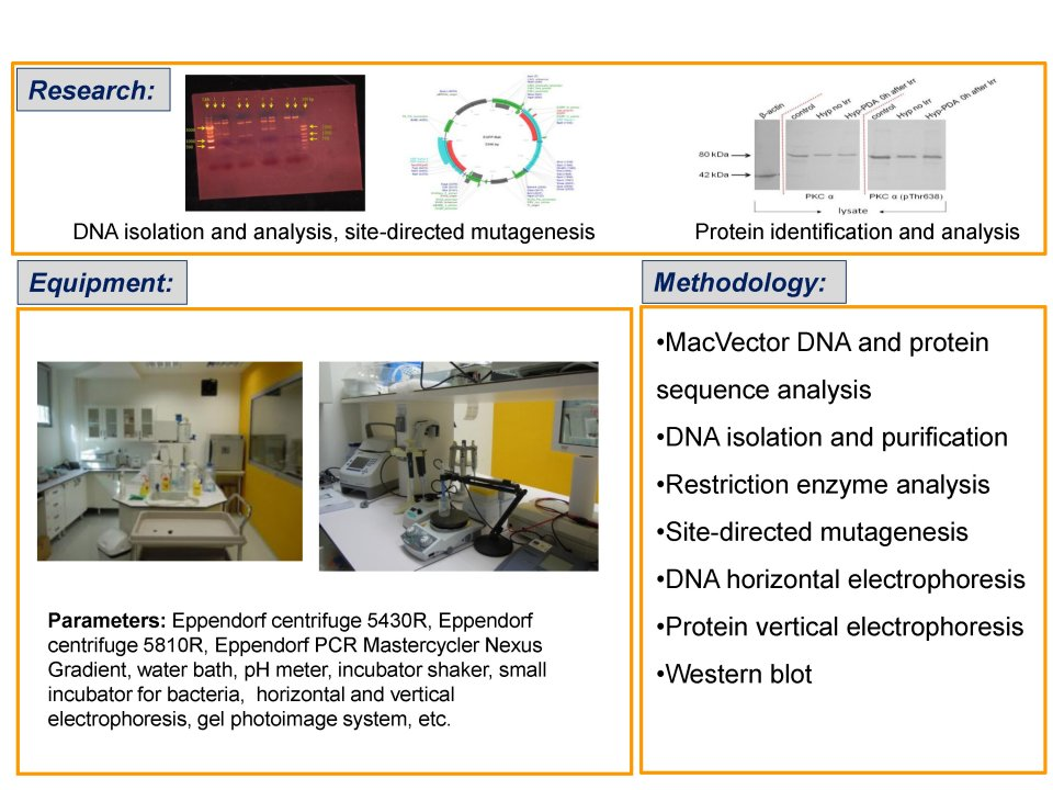 Laboratóriá / Laboratory of Molecular Biology - foto Laboratóriá / Laboratory of Molecular Biology - foto