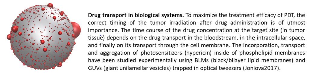 Laboratóriá / Laboratory of Laser Spectroscopy - foto Laboratóriá / Laboratory of Laser Spectroscopy - foto