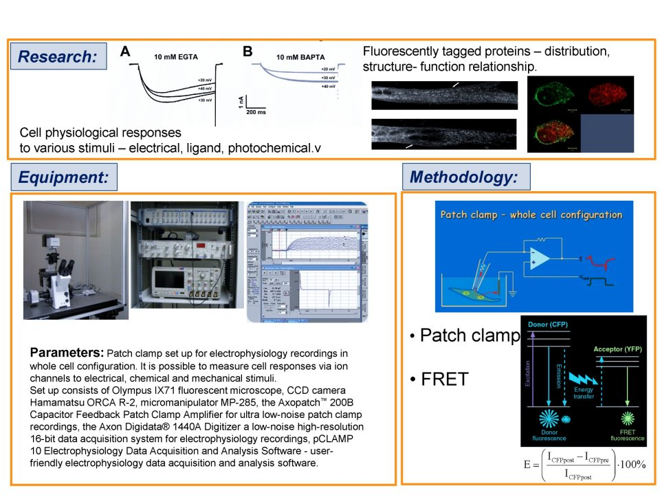 Laboratóriá / Laboratory of Biotechnology and Cell Physiology - foto Laboratóriá / Laboratory of Biotechnology and Cell Physiology - foto