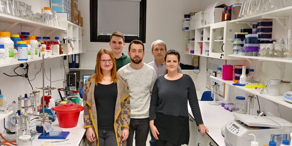 Laboratóriá / Laboratory of Protein Engineering - foto