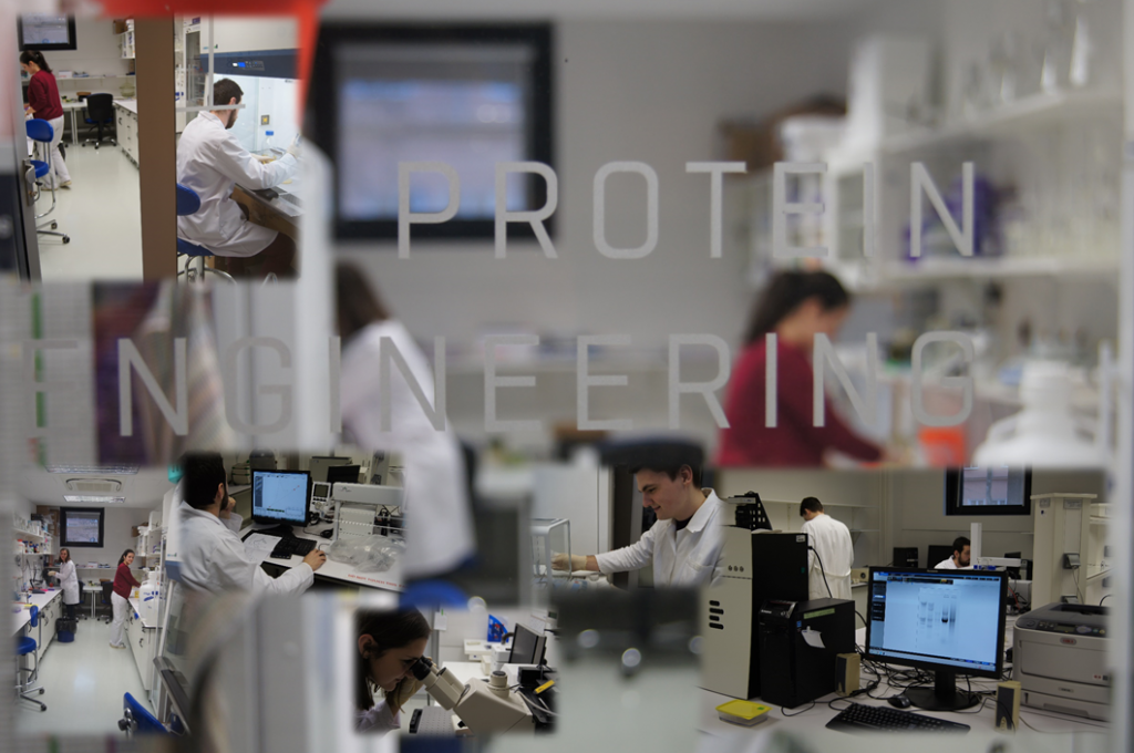 Laboratóriá / Laboratory of Protein Engineering - foto