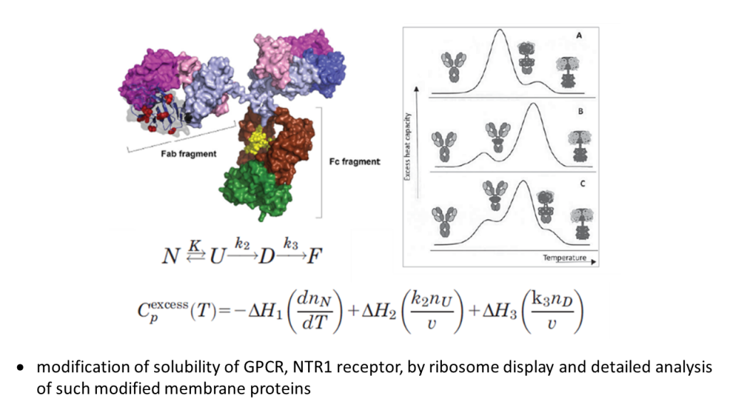 Laboratóriá / Laboratory of Protein Engineering - foto Laboratóriá / Laboratory of Protein Engineering - foto
