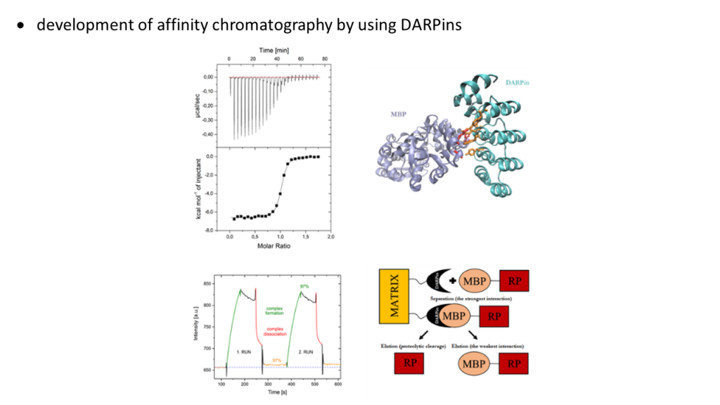 Laboratóriá / Laboratory of Protein Engineering - foto Laboratóriá / Laboratory of Protein Engineering - foto