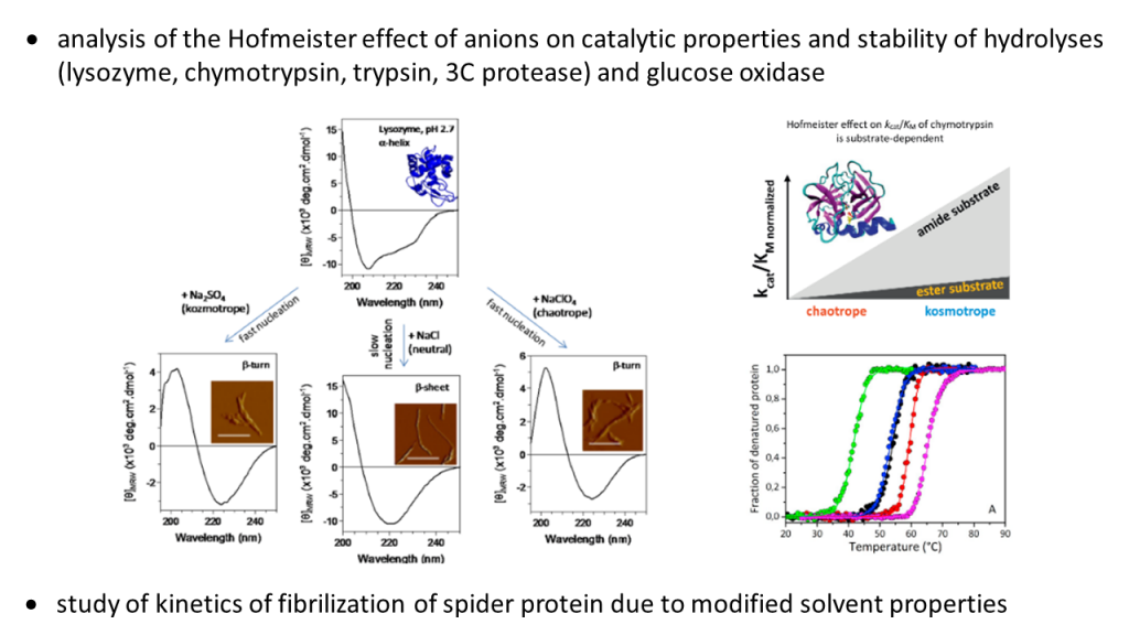 Laboratóriá / Laboratory of Protein Engineering - foto Laboratóriá / Laboratory of Protein Engineering - foto