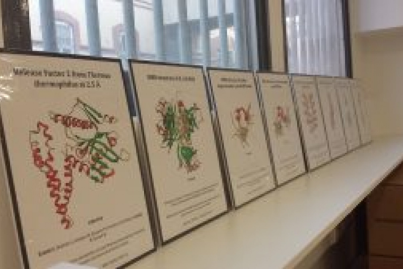 Novinky a články / Otvorenie nových laboratórií CIB - foto