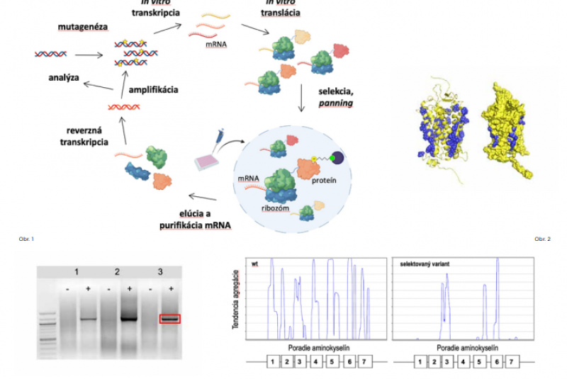 Novinky a články / Projekt s vynikajúcou úrovňou - foto Novinky a články / Projekt s vynikajúcou úrovňou - foto