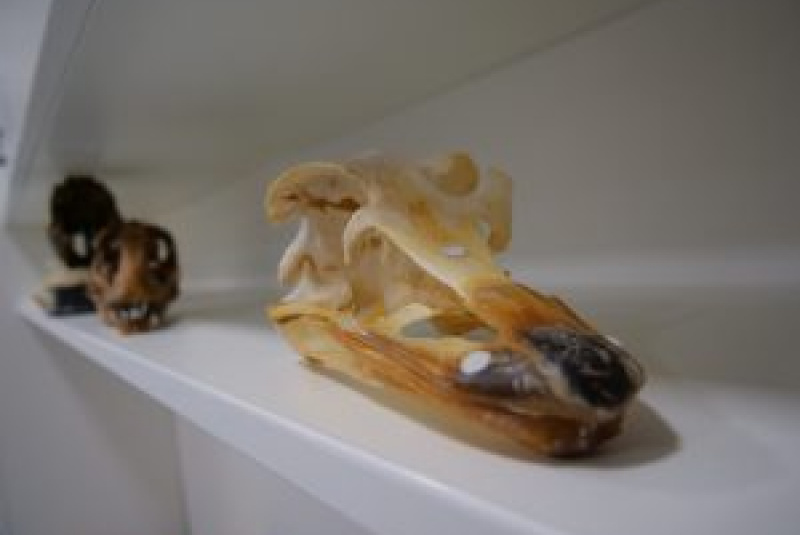 Novinky a články / Košice Region Innovation Awards 2023 Tím Centra Interdisciplinárnych Biovied pod vedením doc. RNDr. Erika Sedláka, DrSc. bol nominovaný na cenu Inovačného centra Košického kraja v spolupráci s Košickým samosprávnym krajom a zakladajúcim Novinky a články / Košice Region Innovation Awards 2023 Tím Centra Interdisciplinárnych Biovied pod vedením doc. RNDr. Erika Sedláka, DrSc. bol nominovaný na cenu Inovačného centra Košického kraja v spolupráci s Košickým samosprávnym krajom a zakladajúcim