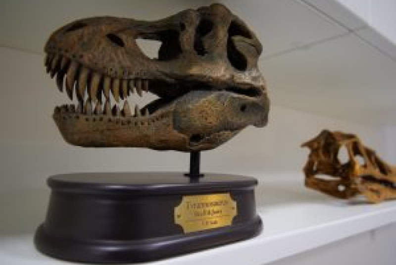 Novinky a články / Košice Region Innovation Awards 2023  Tím Centra Interdisciplinárnych Biovied pod vedením doc. RNDr. Erika Sedláka, DrSc. bol nominovaný na cenu Inovačného centra Košického kraja v spolupráci s Košickým samosprávnym krajom a zakladajúcim
