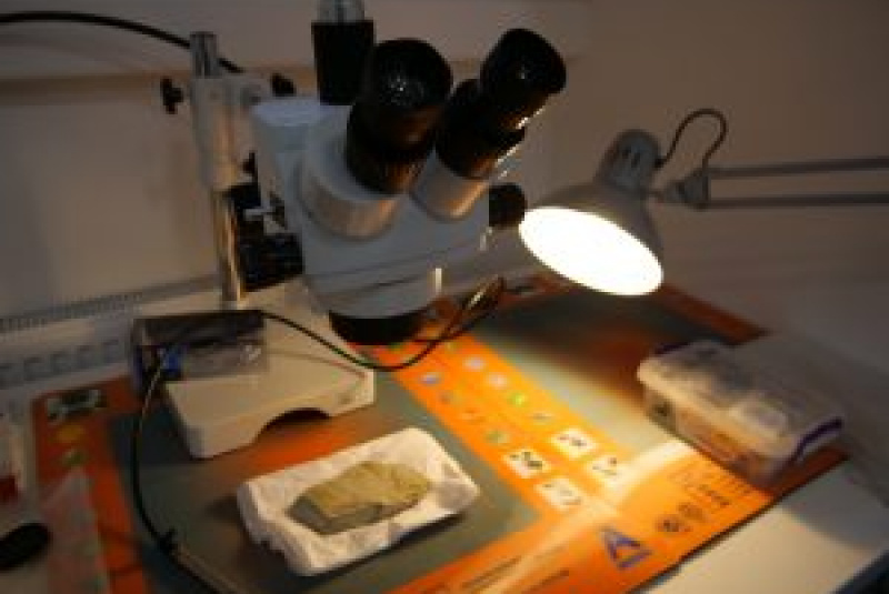 Novinky a články / Košice Region Innovation Awards 2023  Tím Centra Interdisciplinárnych Biovied pod vedením doc. RNDr. Erika Sedláka, DrSc. bol nominovaný na cenu Inovačného centra Košického kraja v spolupráci s Košickým samosprávnym krajom a zakladajúcim