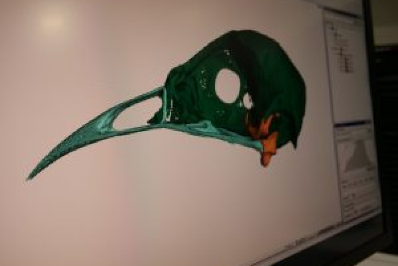 Novinky a články / Košice Region Innovation Awards 2023 Tím Centra Interdisciplinárnych Biovied pod vedením doc. RNDr. Erika Sedláka, DrSc. bol nominovaný na cenu Inovačného centra Košického kraja v spolupráci s Košickým samosprávnym krajom a zakladajúcim Novinky a články / Košice Region Innovation Awards 2023 Tím Centra Interdisciplinárnych Biovied pod vedením doc. RNDr. Erika Sedláka, DrSc. bol nominovaný na cenu Inovačného centra Košického kraja v spolupráci s Košickým samosprávnym krajom a zakladajúcim