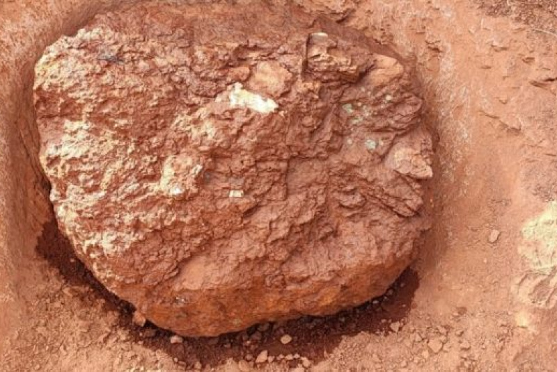Novinky a články / Slovenský vedec hľadá v Číne pozostatky dinosaurov - foto