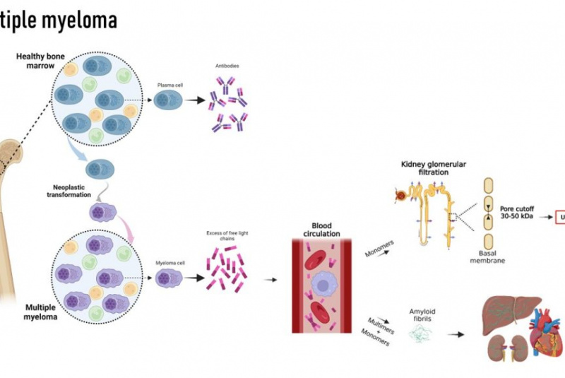 Novinky a články / Osobnosti výskumu a inovácií medzi doktorandmi - foto Novinky a články / Osobnosti výskumu a inovácií medzi doktorandmi - foto