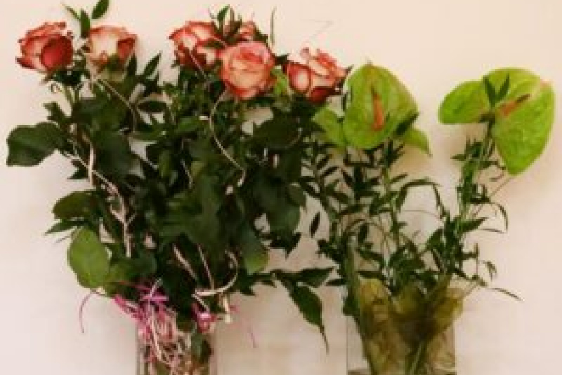 Novinky a články / Cena dekana 2023 - foto Novinky a články / Cena dekana 2023 - foto