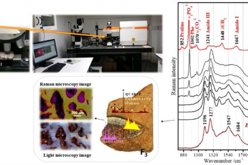 Novinky a články / CSMS conference MICROSCOPY 2024 - foto Novinky a články / CSMS conference MICROSCOPY 2024 - foto