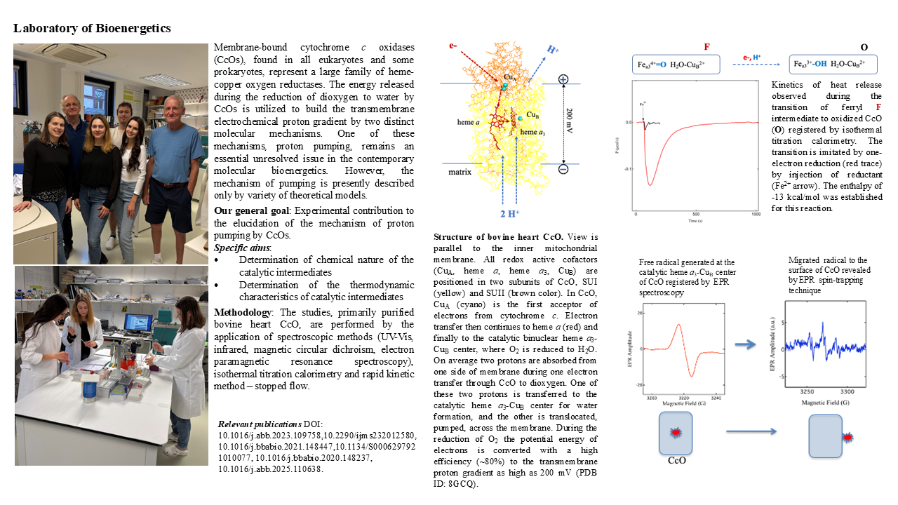 Laboratóriá / Laboratory of Bioenergetics - foto Laboratóriá / Laboratory of Bioenergetics - foto