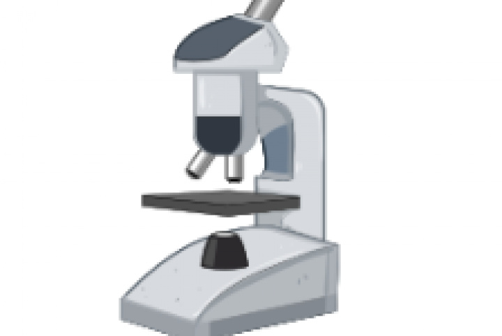 Laboratory of Confocal Microscopy