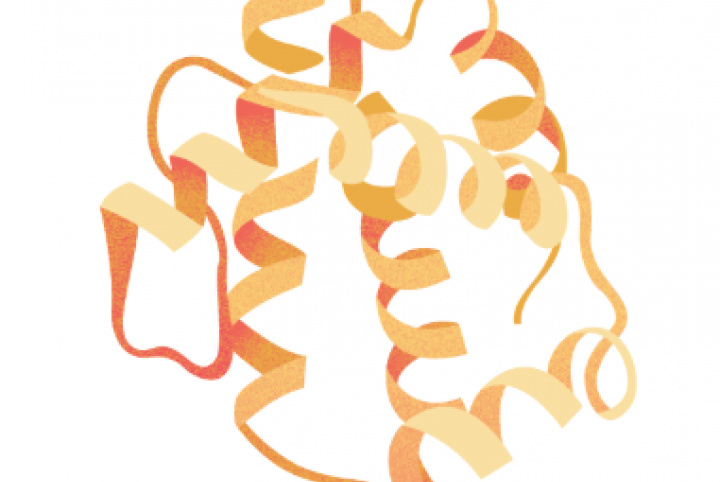 Laboratory of Protein Engineering