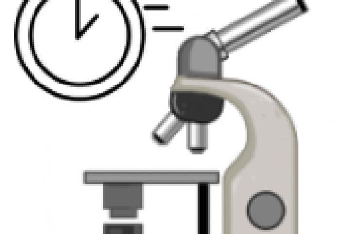 Laboratory of Time Resolved Microscopy