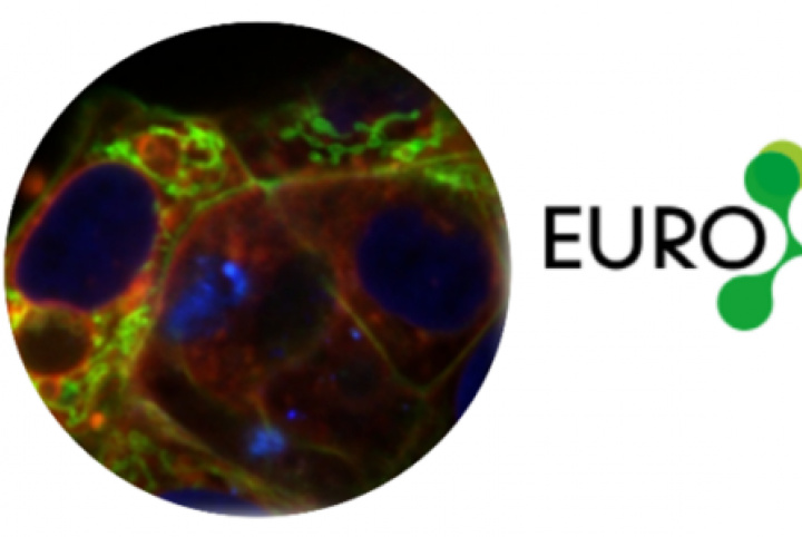 Research project on CIB is supported by canSERV programme and EuroBioimaging
